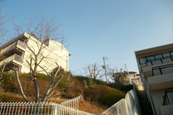 神戸市の植栽管理