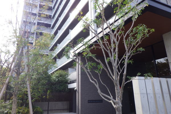 吹田市の植栽管理