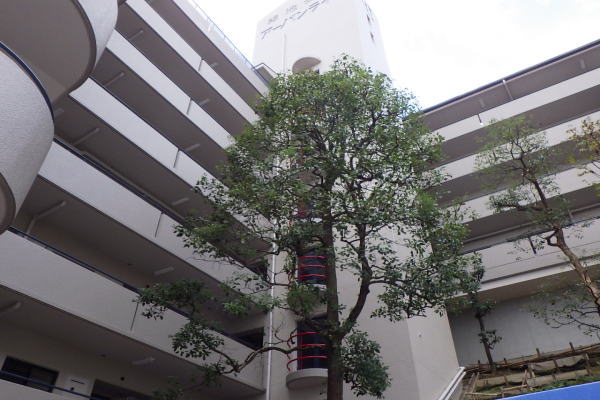 豊中市の植栽管理