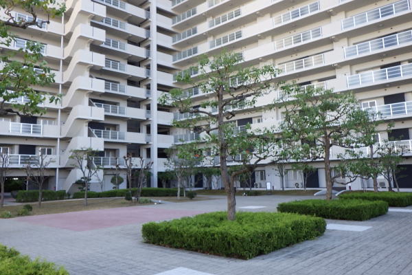 伊丹市の植栽管理