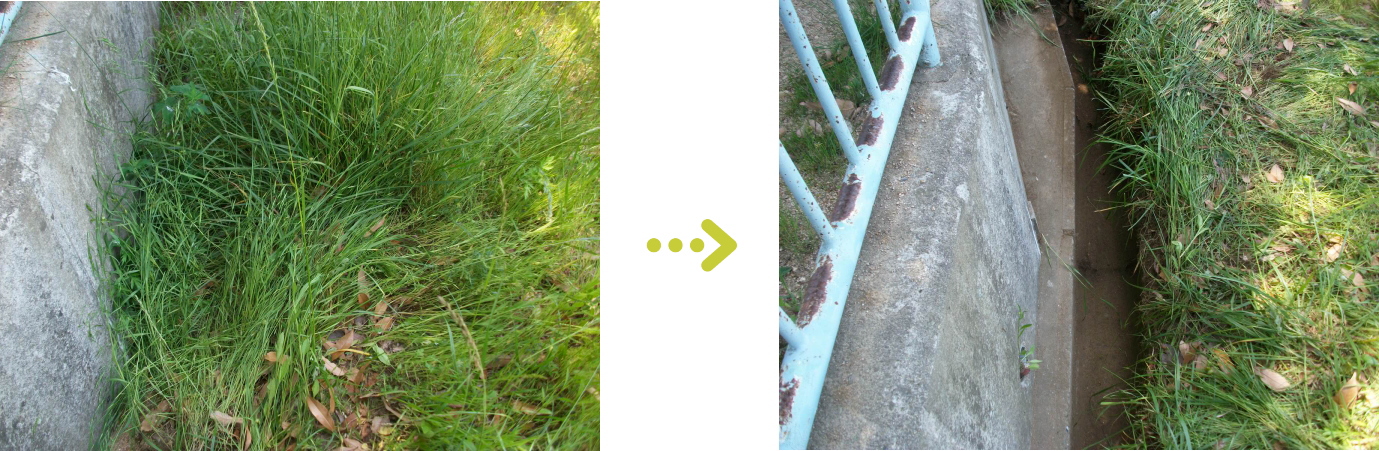 植栽管理 側溝清掃施工前後