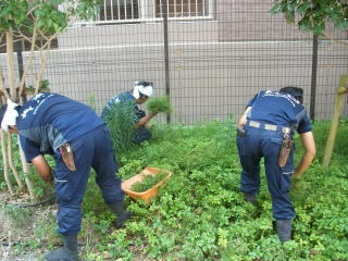 植栽管理の業務見直しでご検討の担当者様