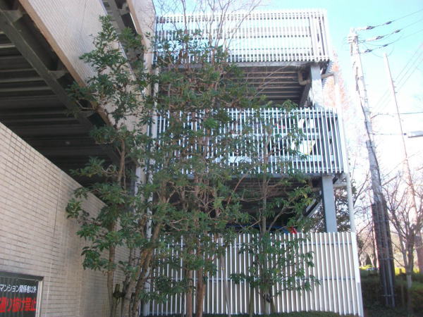 植栽管理の施工事例 実績