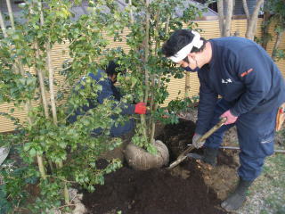 エントランス・植栽地など景観が悪い事でお困りのお客様