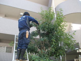 技術能力による管理費用削減。