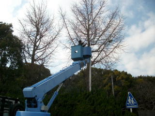 中長期計画による管理費用削減。不要樹木の伐採