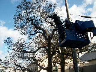 中長期計画による管理費用削減。「再生と共生」定